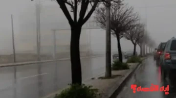 توقعات الأرصاد.. أجواء باردة الثلاثاء مع زخات مطر متفرقة بمناطق المملكة نهاية 2025